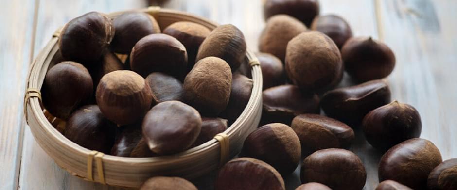RECEITAS E BENEFÍCIOS DAS CASTANHAS