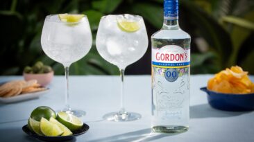 Gin sem álcool? Existe, sim!