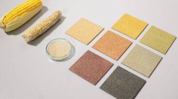 Revestimento de paredes feito com resíduos de sabugo de milho traz materiais de construção sustentáveis