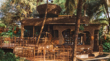 Este Resto-Bar situado na beira de um penhasco em Goa, na Índia, tem dois ninhos enormes empoleirados em cima dele