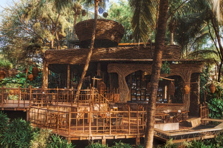 Este Resto-Bar situado na beira de um penhasco em Goa, na Índia, tem dois ninhos enormes empoleirados em cima dele