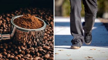 O primeiro pavimento de “concreto-café” do mundo na Austrália é 30% mais resistente e usa borra de café reciclada