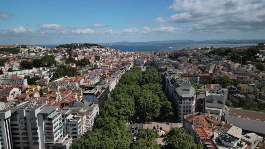 Art in Avenida expõe 11 artistas da Sociedade Nacional de Belas Artes na Avenida da Liberdade